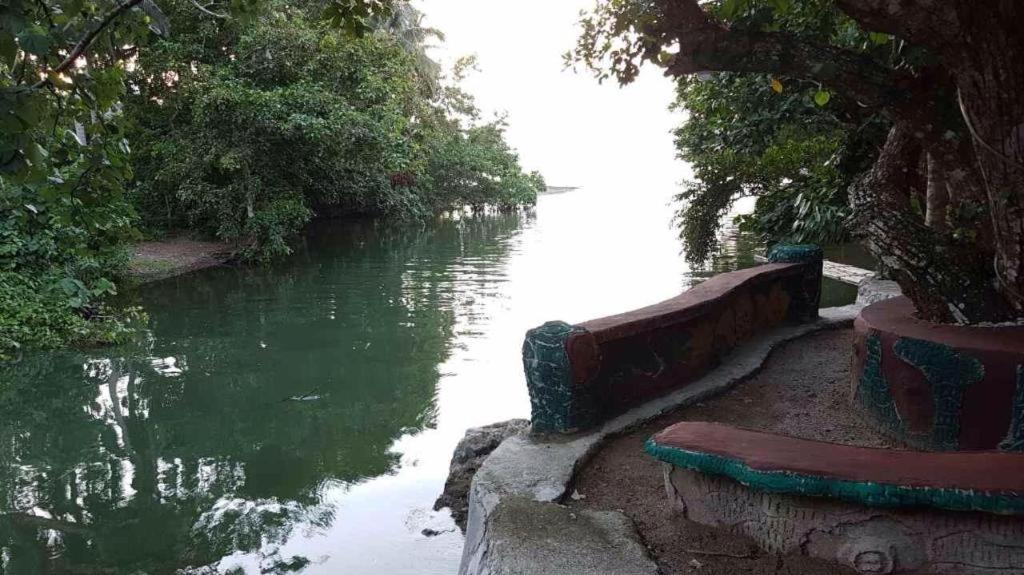 Nature Green Forest Resort Baler Exterior foto