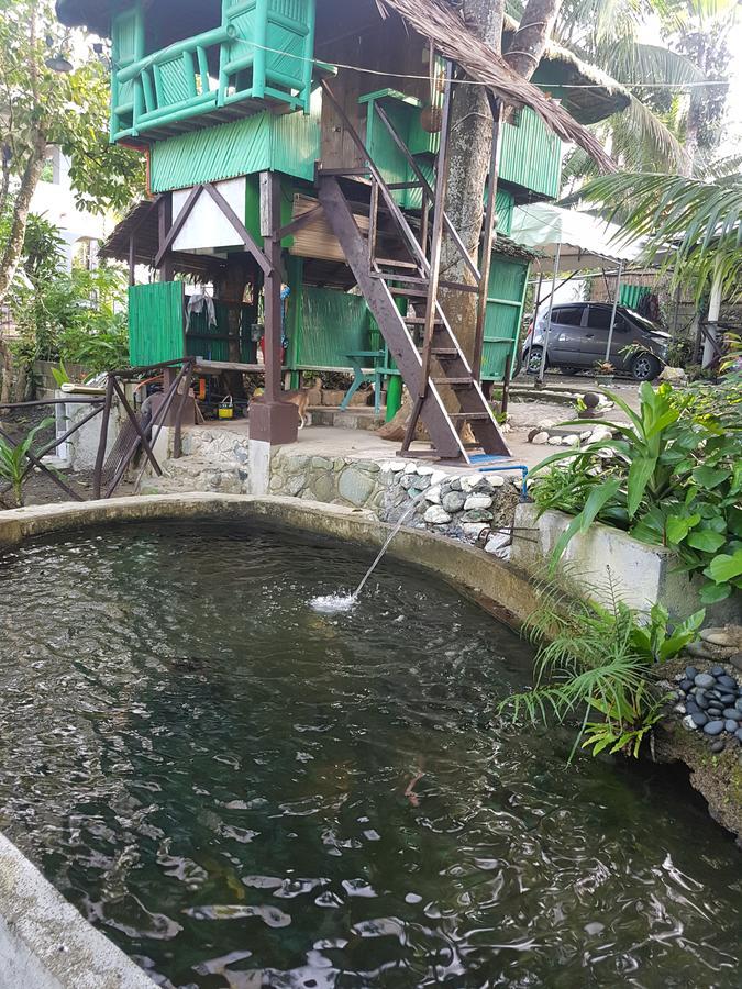 Nature Green Forest Resort Baler Habitación foto